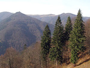 Polonina Krsna, Vchodn Karpaty