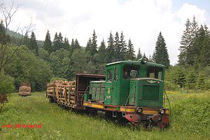 Lesní železnice, Vyhoda, foto Jiří Konečný