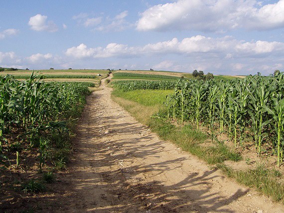 Většinu plodin si pěstují obyvatelé českých vesnic na polích sami …